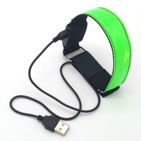 Luminous running arm belt (Option: Green-Usb)